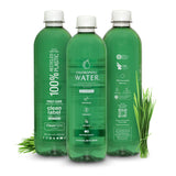 Chlorophyll Water (Ultra-Purified w/ Essential Vitamins)
