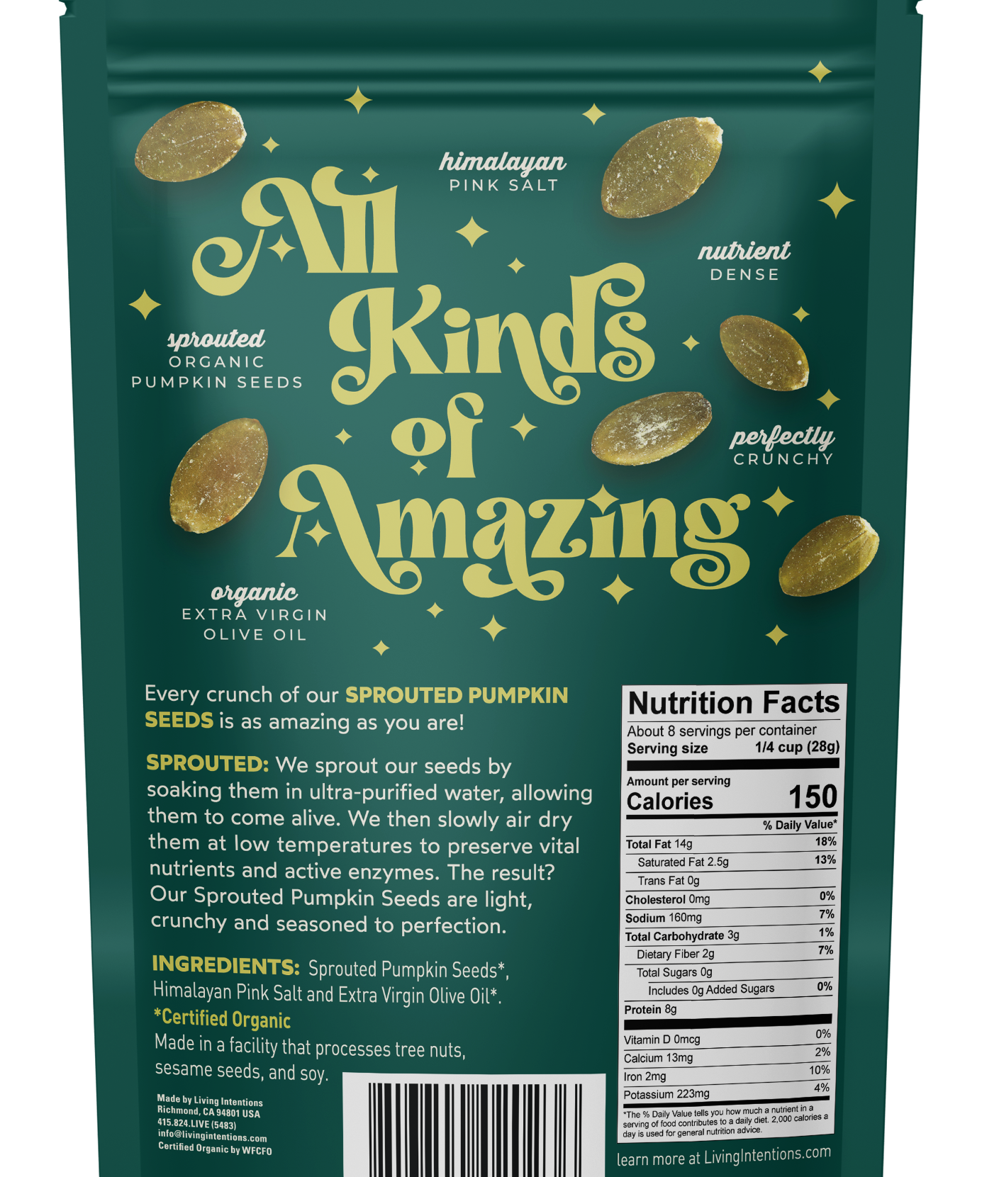Living Intentions 8oz Sprouted Seeds - Pumpkin Salted