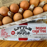 Little Farm Beyond Cage Free Eggs, 1 dozen